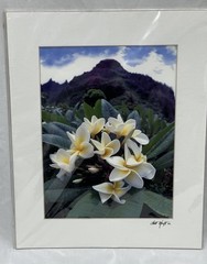 Kilahuea Hawaii Photography Art Photos 2 Scott Hanft Flowers Ocean 11 X 14 2000s