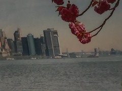 Metal Print Professional Photograph on Metal «New York Across the Bay» 16″ by 20