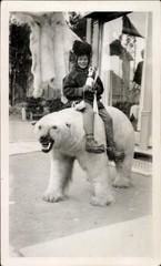 Photo Tromsø Tromsö Norway, Child on a Stuffed Polar Bear… – 11535719