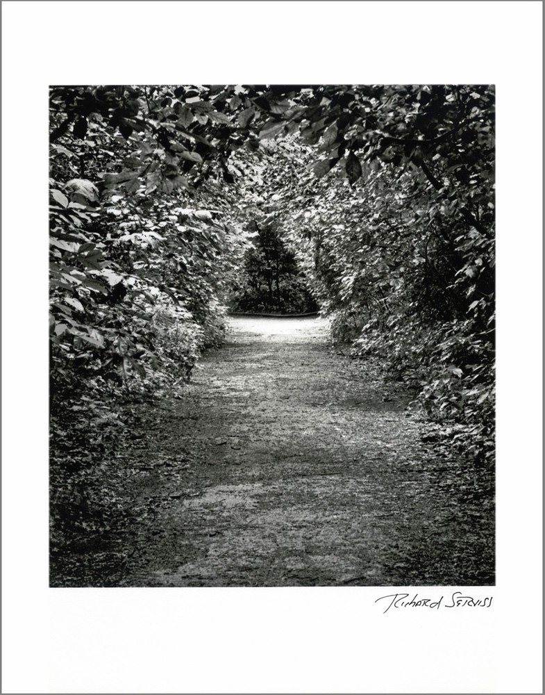 New York City Nature – 11×14” Print – Signed by Photographer Richard Serviss