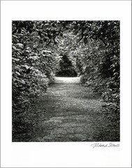 New York City Nature – 11×14” Print – Signed by Photographer Richard Serviss