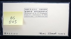Boris Starosta 3D Stereoview – CREATIVE Bossus Signed 2003