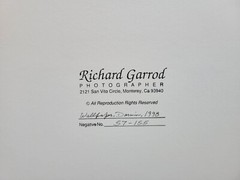 Richard Garrod, black and white photography, Wallpaper, Darwin