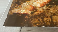 Seahorse Craig Dietrich Underwater Photography Metal Art Picture 11” X 14”