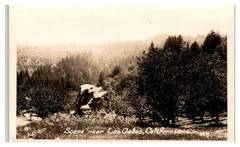 Original Vintage Photograph Scene Near Los Gatos California Rustic Landscape