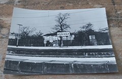 Large B/W Photo Cologne Lime Railway Station Photo No. 17