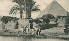 1910 Desert Cairo Egypt Great Pyramids of Giza RPPC Real Photo