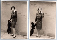 2x Pretty Woman with Poodle Dog Mickey 1964 – Photo 7x10cm