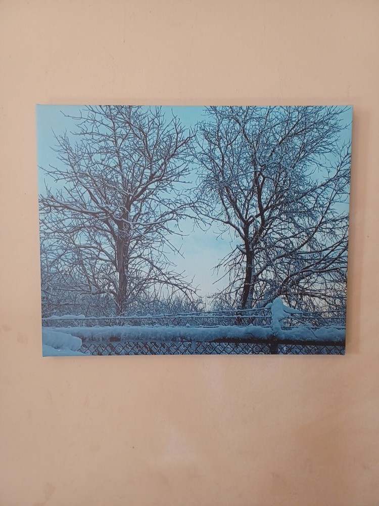 Original Photo Canvas Print. Titled «Winter Morning.» 16×20 Inches.
