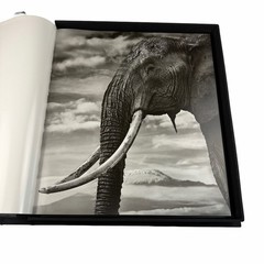 David Yarrow Wild Encounters Signed Book Rizzoli Artist Proof AP Clamshell Box