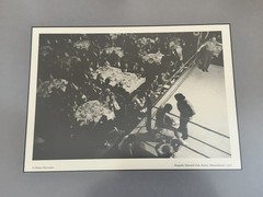 Henry Horenstein ‘Ringside, Harvard Club, 1976’ Framed Print Reproduction 8 X 10