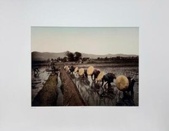 Reiji Esaki Japan Culture Du Riz Paddy Rice Fields Asia YellowKorner Photograph