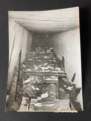 Original 1954 Photo Discovery Boat Khéops Pyramid Egypt Vintage Photo Print
