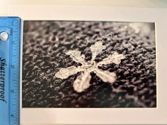 4”x6” Snowflake Print With Photo Mat