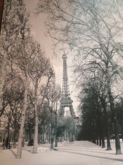 Vtg Pair Set Lot Cyndi Schick Eiffel Tower Stairs Signed Photograph Black White
