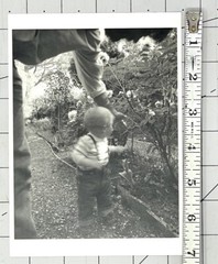 Doug Prince (b. 1943) Case In Flower Garden – 1983 Witkin Gallery Art Photo Card