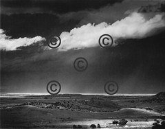 Book Plate Ansel Adams B/W 4-1/2 X 5-5/8″ Dead trees, Sunset Crater NP AZ 1947