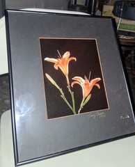 Cibachrome ART PRINT Signed & Framed Print Tony Festa RARE