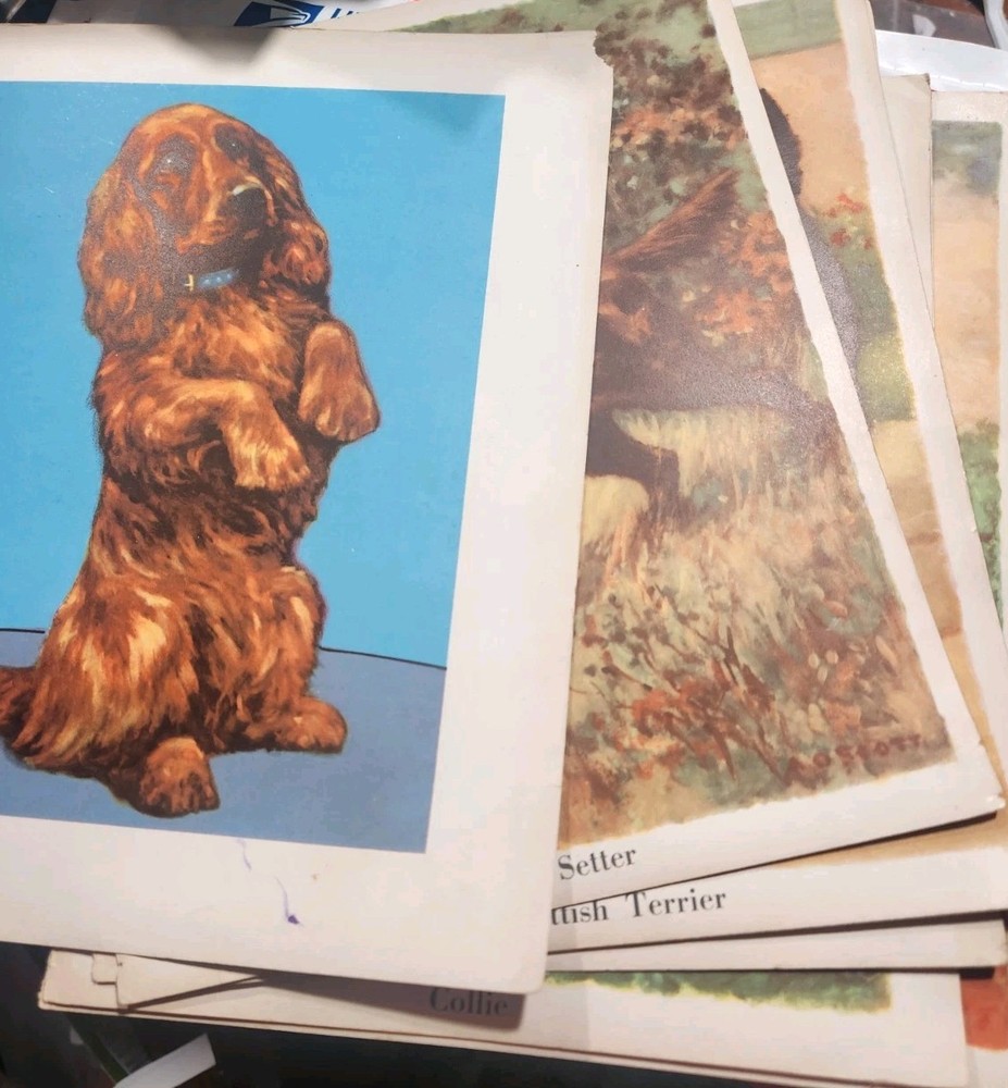 Vtg. Paper Ephemera Dog Themed