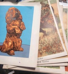 Vtg. Paper Ephemera Dog Themed