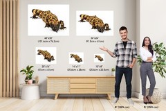 Reptilian Royalty: Gila Monster Wall Art Metal Acrylic Print Reptile Photography