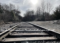 5×7 Black And White Railroad Tracks Giclee Photography Print Liminal Moody