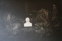Great old photo bust unknown person – 1910-20?