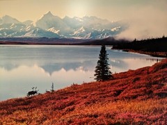 Thomas Mangelsen «Shores of Wonder Lake 27″ X 50» framed print signed & numbered