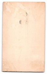 Photograph Emil Kunert, Neu-Weissensee, Königchaussee 33, portrait young man