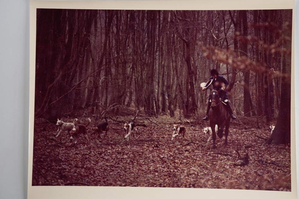 Vintage Analog Photo France Hunting Foxhunting Horse 24X30Cm 1970