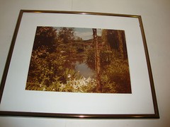 Pond Bridge Tree Photo Lake In A Schneider Custom Frame Pewter Metal Park Nature