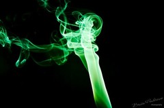 Mesmerizing Macro Photograph – Digital