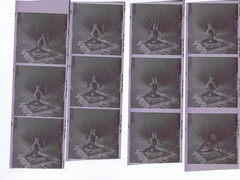 NEWLY FOUND! Hendrickson PHOTO Contact Sheet Proof & Negatives TOPLESS PEACOCK