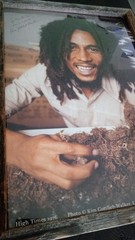 SIGNED Kim Gottlieb-Walker BOB MARLEY High Times FRAMED 1976 AUTOGRAPHED Photo