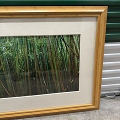 Peter Lik «Bamboo» 1.5M Framed Picture SOLD OUT – With COA