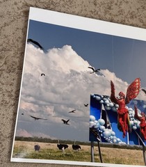 ORIGINAL SIGNED FINE ART PHOTOGRAPH BIG BIRDS AFRICA & USA ESTATE FIND NEW YORK