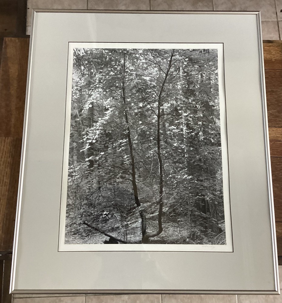 Bob Werling Signed #3 Lake Tahoe Black & White Framed Decorative Edition Print