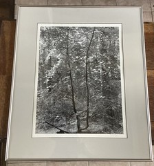 Bob Werling Signed #3 Lake Tahoe Black & White Framed Decorative Edition Print