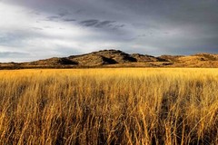 Wichita Mountains Photography Print: Oklahoma Wildlife Refuge Landscape Photo
