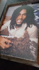 SIGNED Kim Gottlieb-Walker BOB MARLEY High Times FRAMED 1976 AUTOGRAPHED Photo