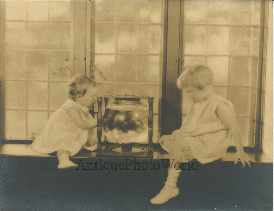Children by fish tank large antique art photo by Charles Cooper
