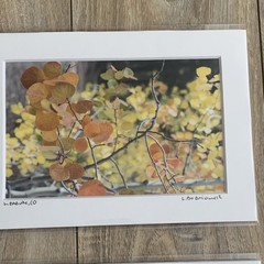Set of 3 – Fall Colors in Leadville, Colorado Photography Print – Signed Matted