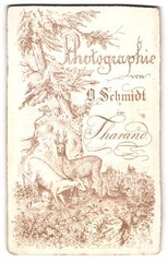 Photograph O. Schmidt, Tharand, Ricke and Roebuck standing in the forest with a view to