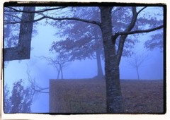 Falling – Limited Edition 1 – 100 Photographs by Artist Eric Buechel