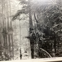 Blair Pittman: «Old River» – Original Gelatin Silver Print Photograph