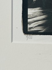 American Photographer Joan Almond Platinum Palladium Photo Print. 2004. Signed
