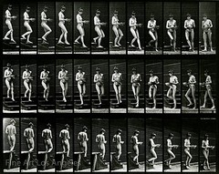 Eadweard Muybridge Photo Vintage Motion Study Woman Walking 1880s 17×11″