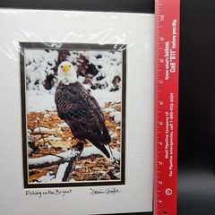 Bald Eagle Print Photo With Double Matte Signed Dennis Crider