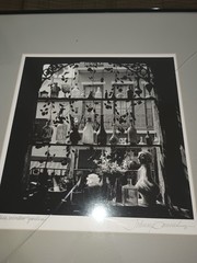 Johnny Donnels Glass Window Garden Signed New Orleans Photo Cracked Glass w/ Bio