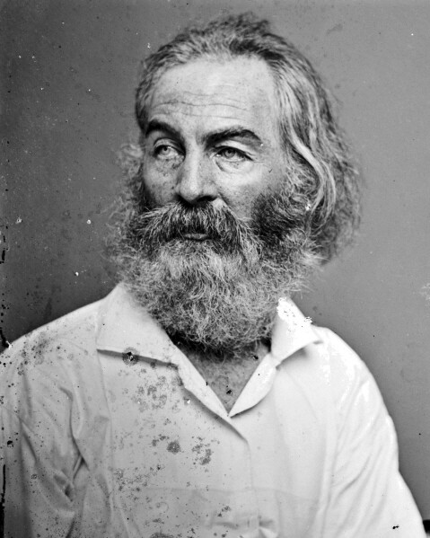 New Photo: Poet and Essayist Author Writer Walt Whitman – 6 Sizes!